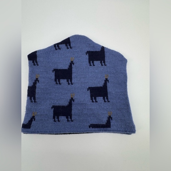 Patagonia Other - RARE Vintage 90s Patagonia Blue Lama Print Wool Ski Beanie